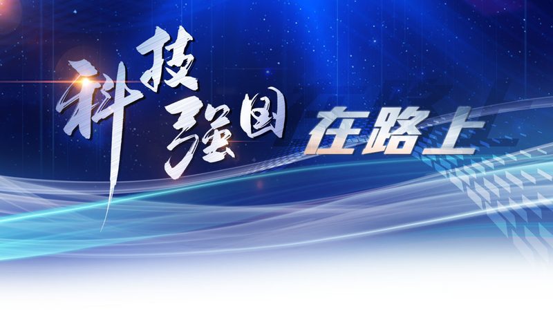 云服务器型号与规格选择：揭秘企业IT决策的四大关键要素