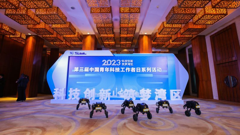 信息化建设项目管理流程：揭秘高效实施的秘诀